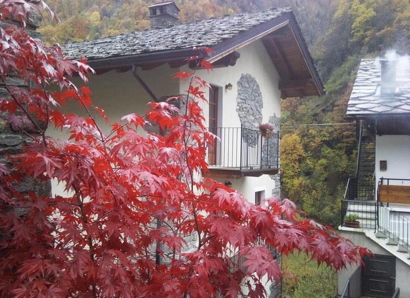 屋外の景色 写真