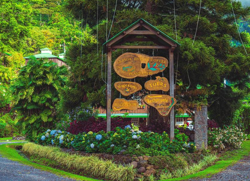 屋外の景色 写真