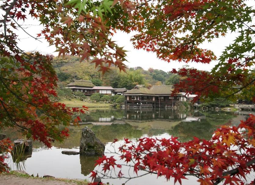 屋外の景色 写真