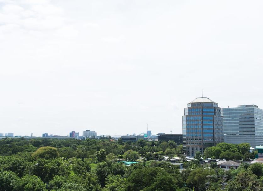 屋外の景色 写真
