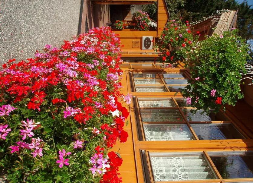 屋外の景色 写真