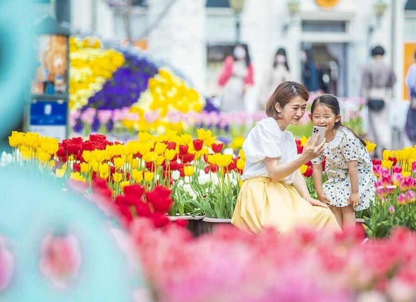 その他 写真