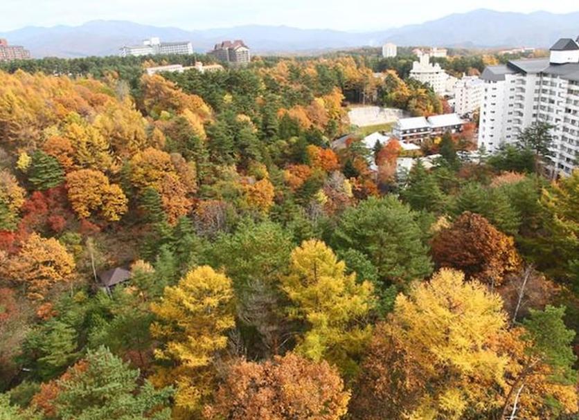 屋外の景色 写真