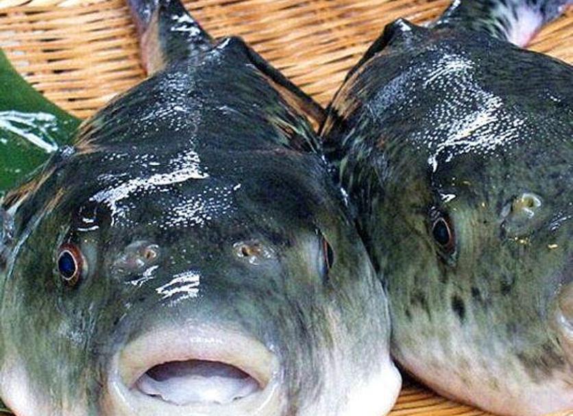 その他 写真