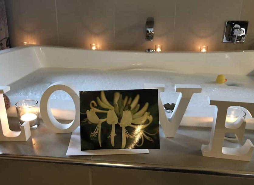 客室の設備 写真