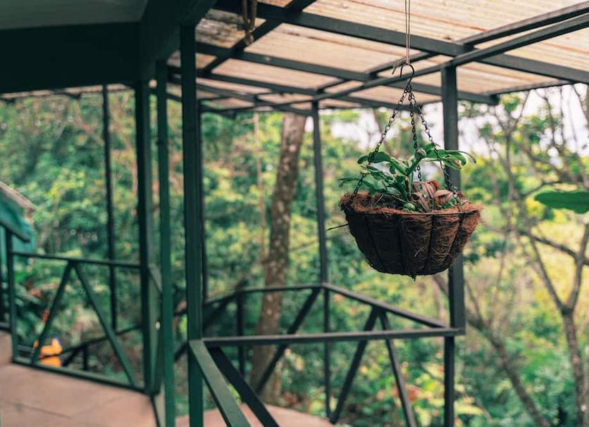 建物 写真