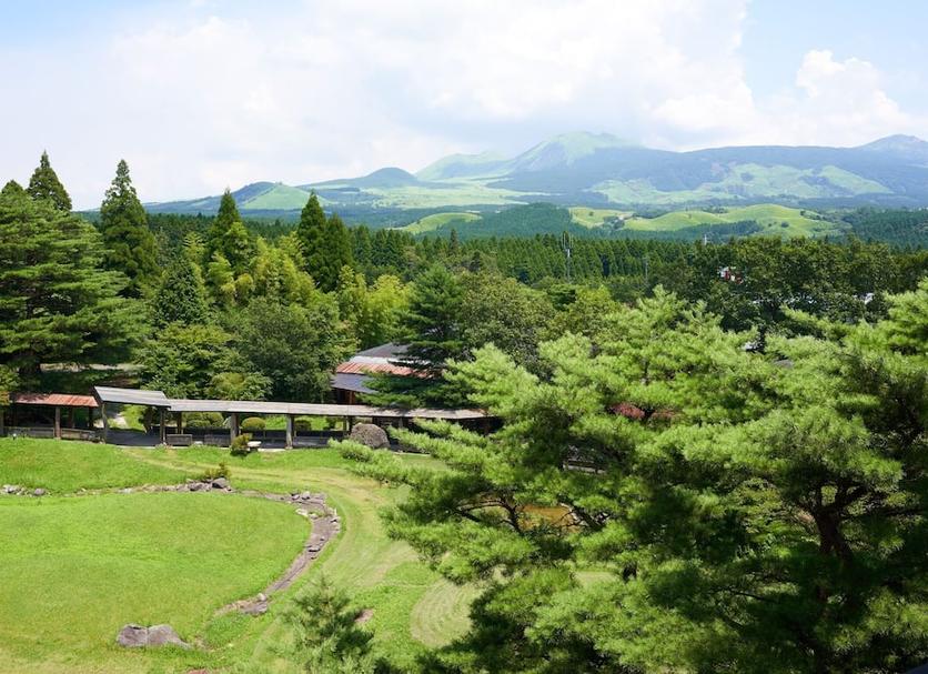 屋外の景色 写真