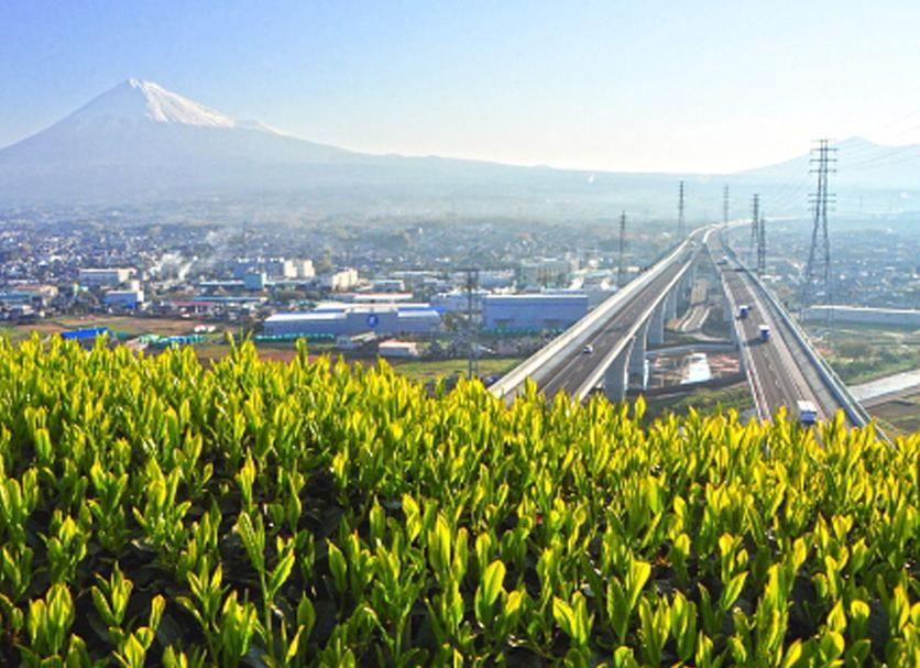 屋外の景色 写真