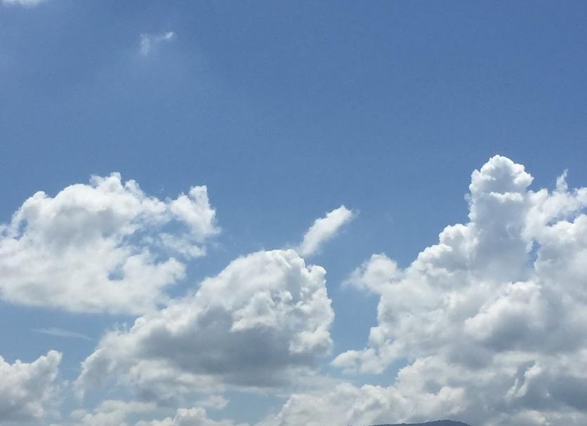 屋外の景色 写真