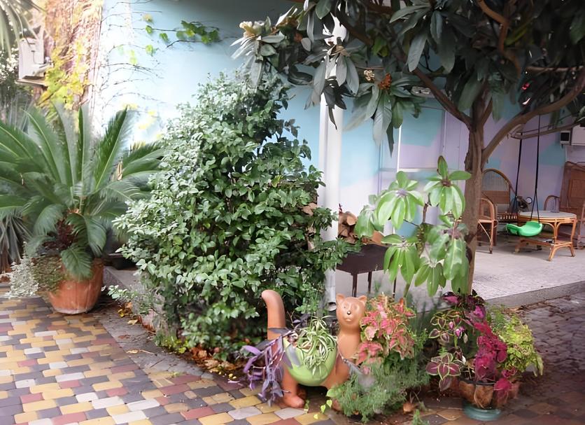 屋外の景色 写真