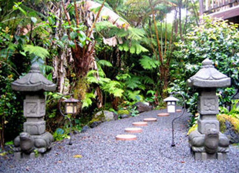 屋外の景色 写真