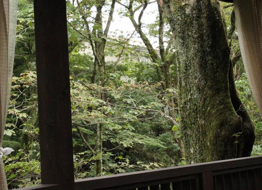 屋外の景色 写真