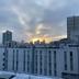 屋外の景色