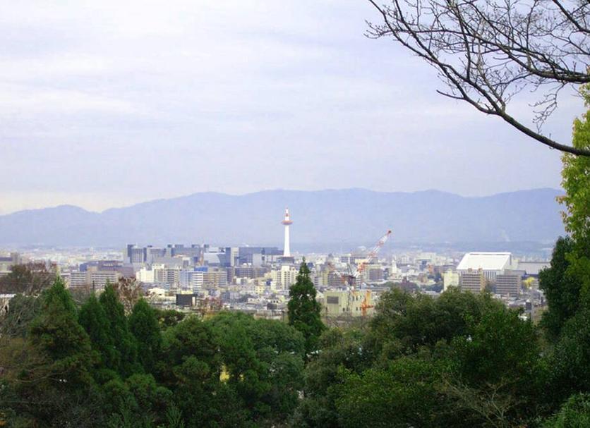 屋外の景色 写真