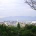 屋外の景色