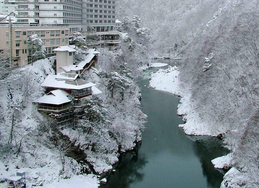 屋外の景色 写真