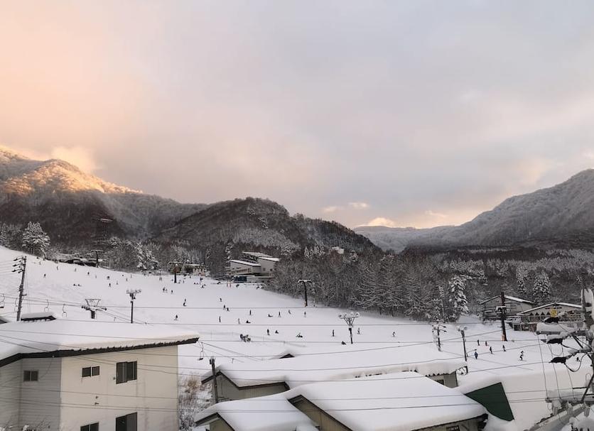 屋外の景色 写真