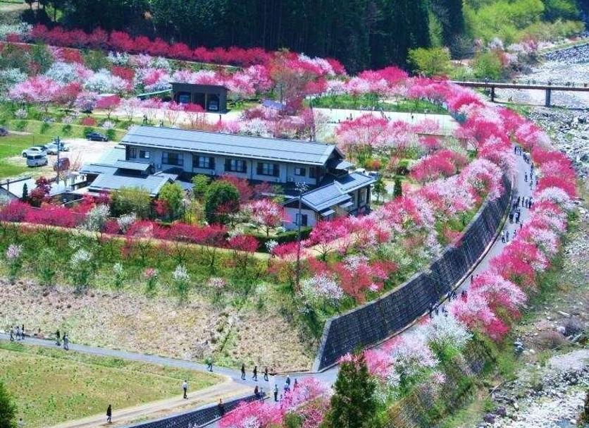 屋外の景色 写真