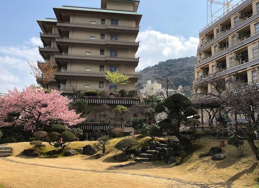 屋外の景色 写真