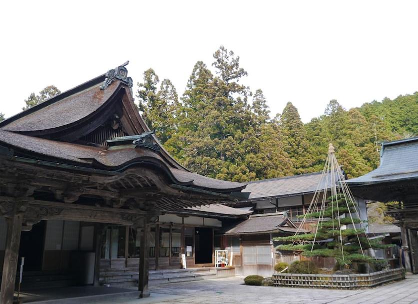建物 写真
