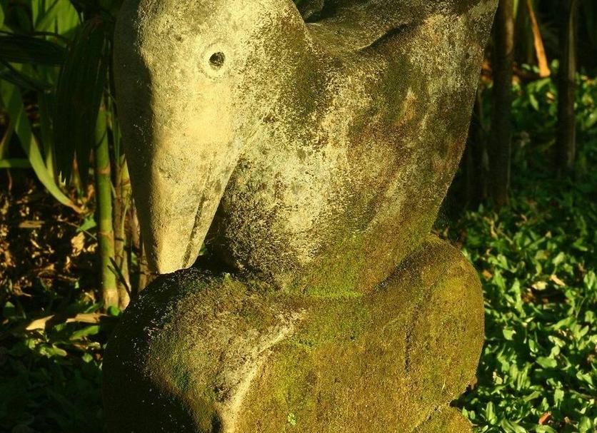 その他 写真