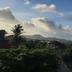屋外の景色