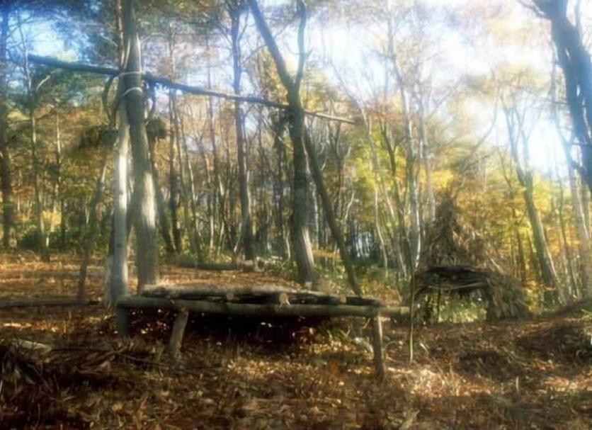屋外の景色 写真