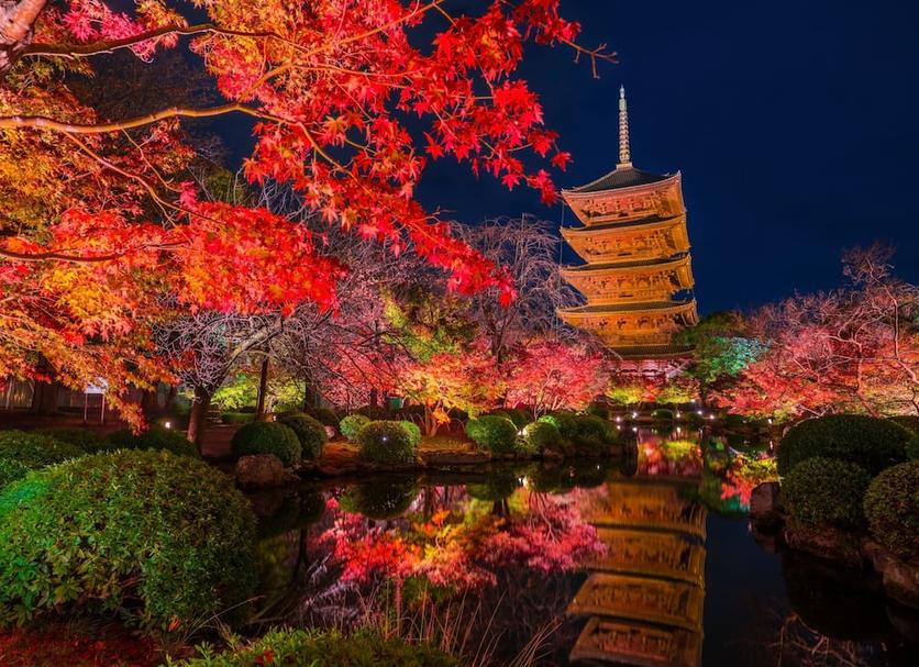 屋外の景色 写真