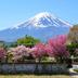 屋外の景色