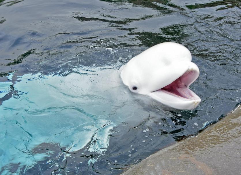 その他 写真