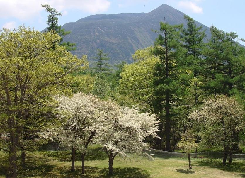屋外の景色 写真