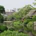 屋外の景色