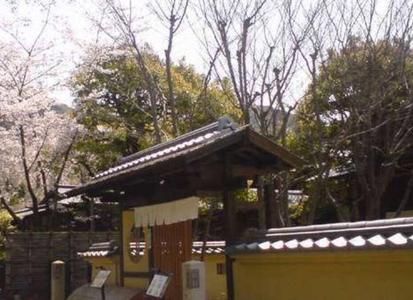 屋外の景色 写真