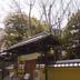 屋外の景色