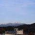 屋外の景色