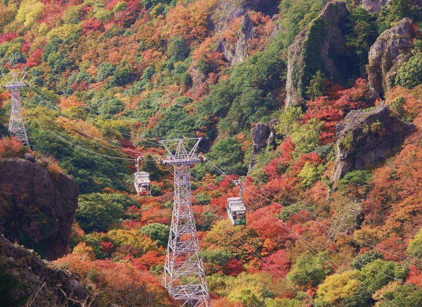 その他 写真