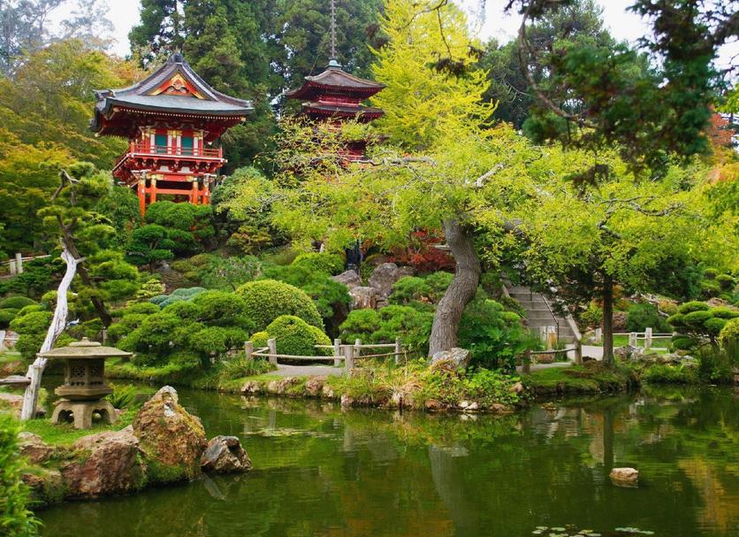 屋外の景色 写真