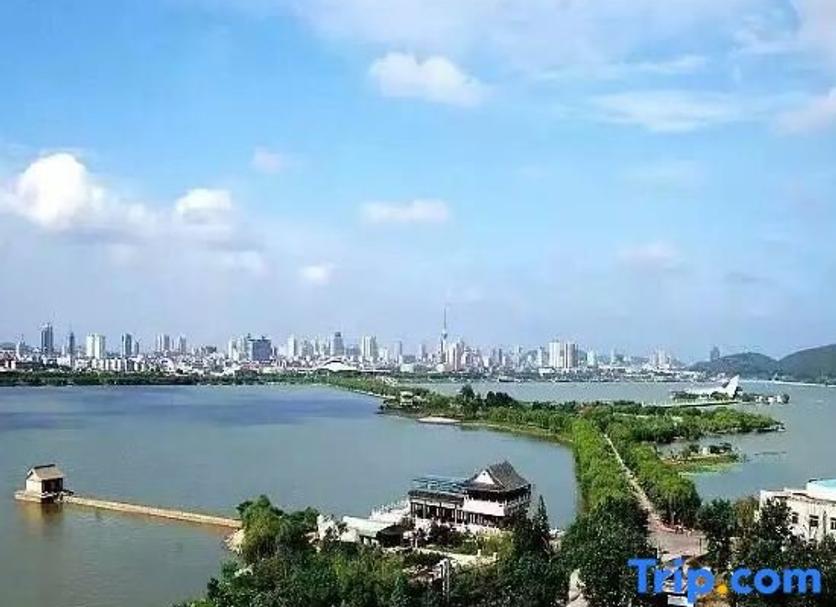 屋外の景色 写真