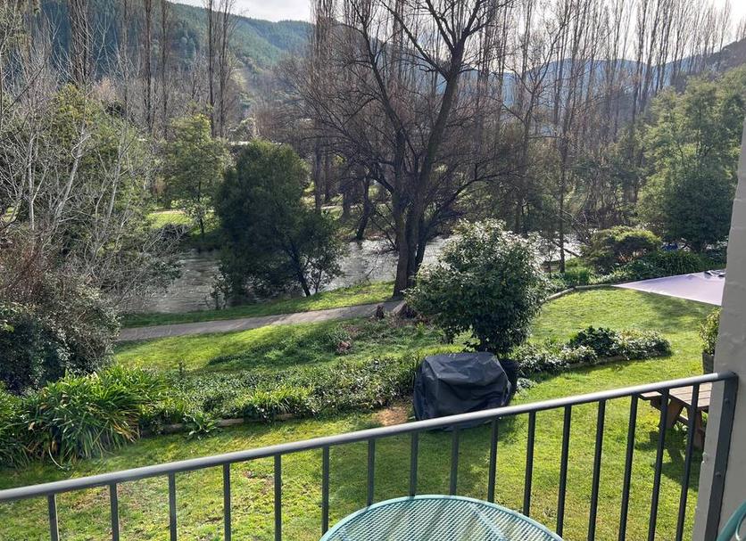 屋外の景色 写真