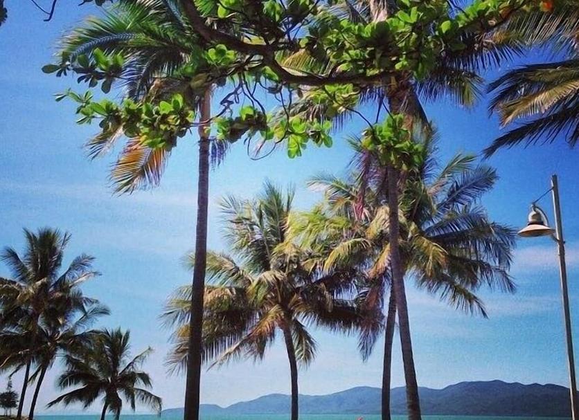 屋外の景色 写真