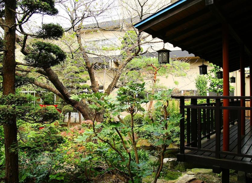 屋外の景色 写真