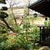 屋外の景色