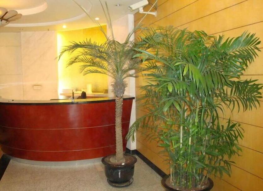 フロントデスク 写真