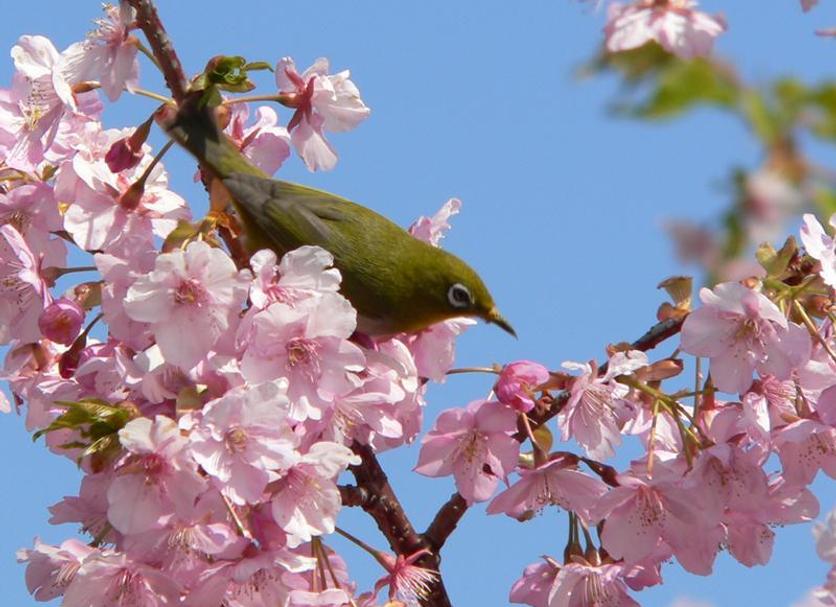 建物 写真