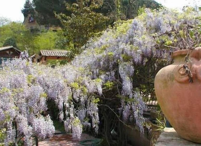 屋外の景色 写真