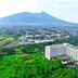 屋外の景色