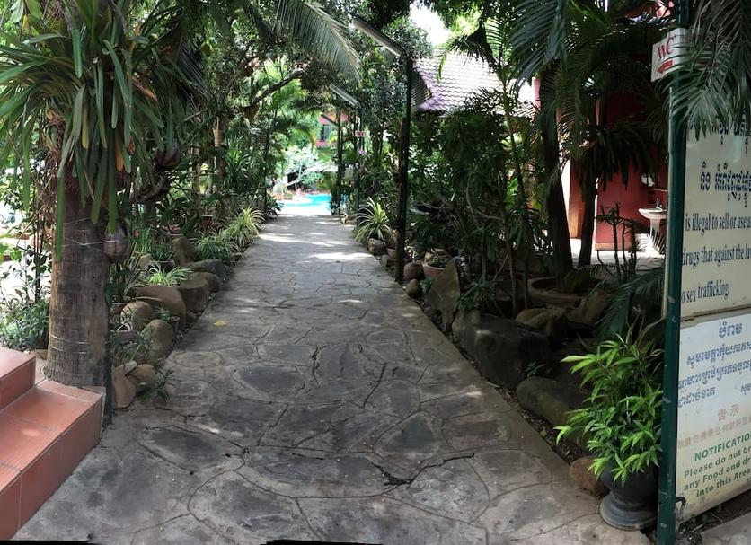 屋外の景色 写真