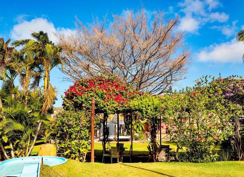 屋外の景色 写真