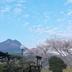 屋外の景色