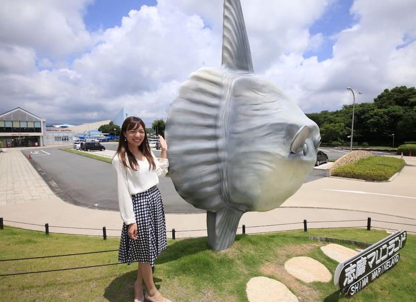 その他 写真